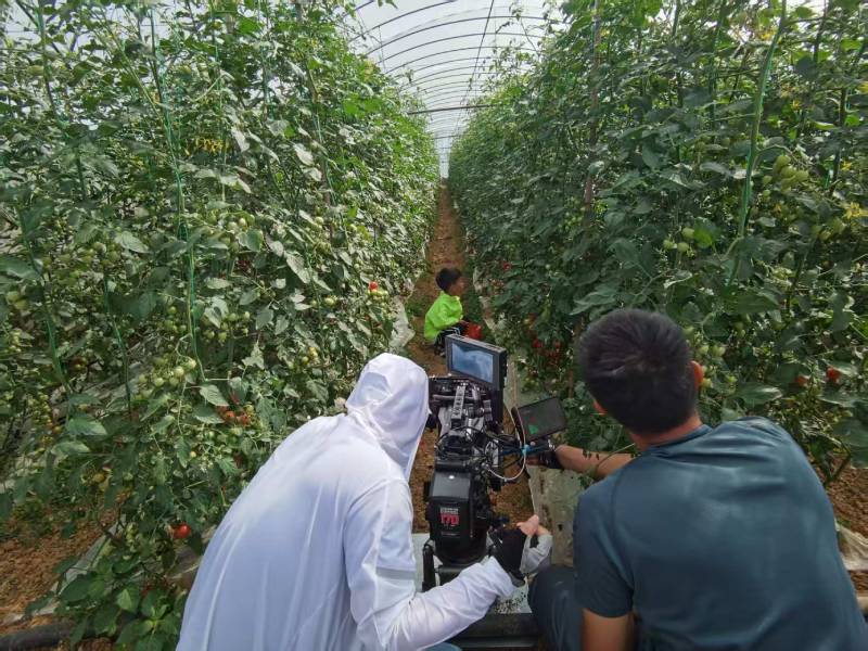 鼓楼区产品宣传视频拍摄公司进阶指南，助力品牌抢占传播高地